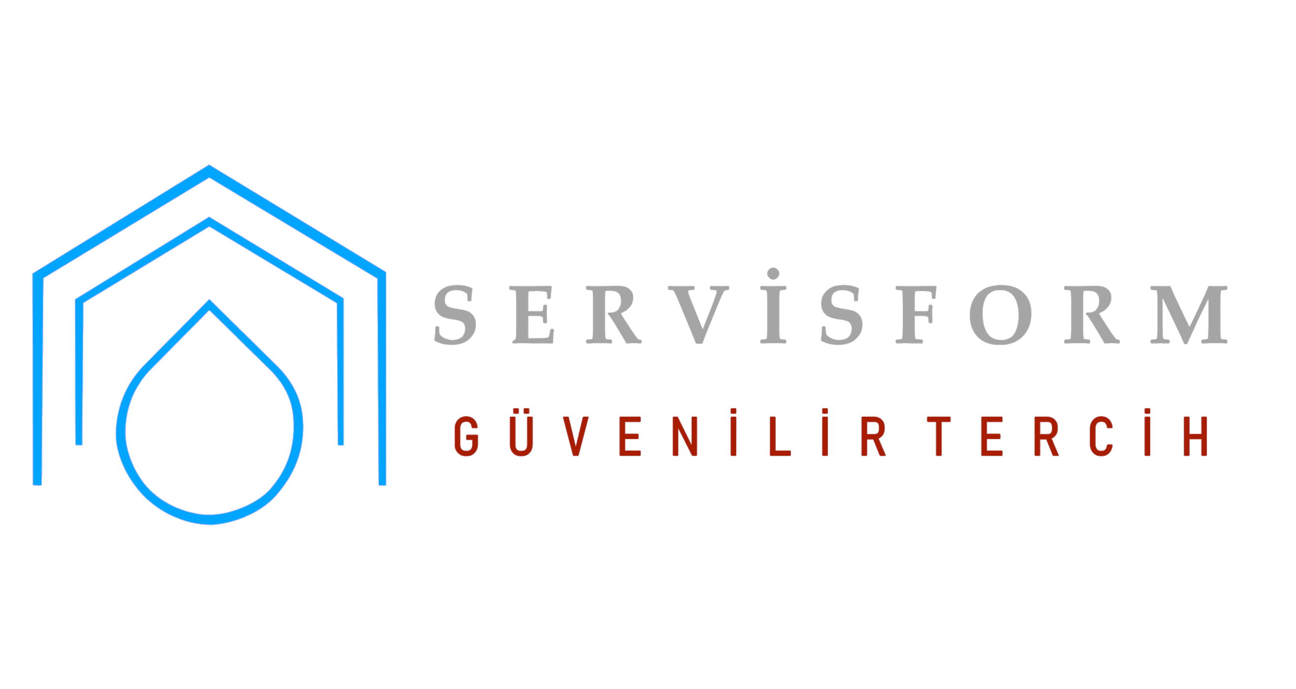 Servis Form